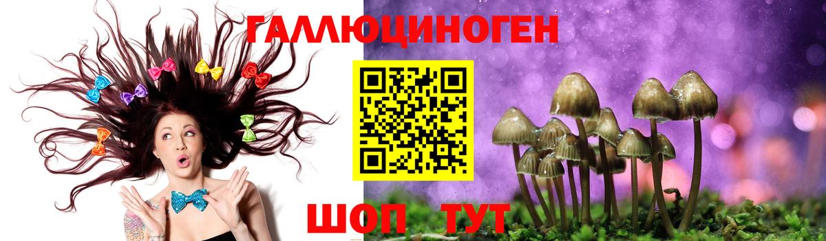 дарнет шоп  Псилоцибиновые грибы мухоморы  Вход с VPN  Алушта  Псилоцибиновые грибы мухоморы 